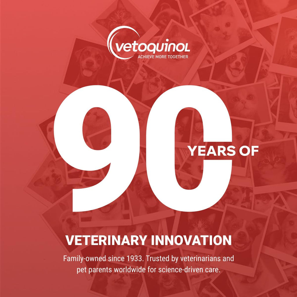 Kidney Support Supplement for Dogs and Cats, 90 Count P922