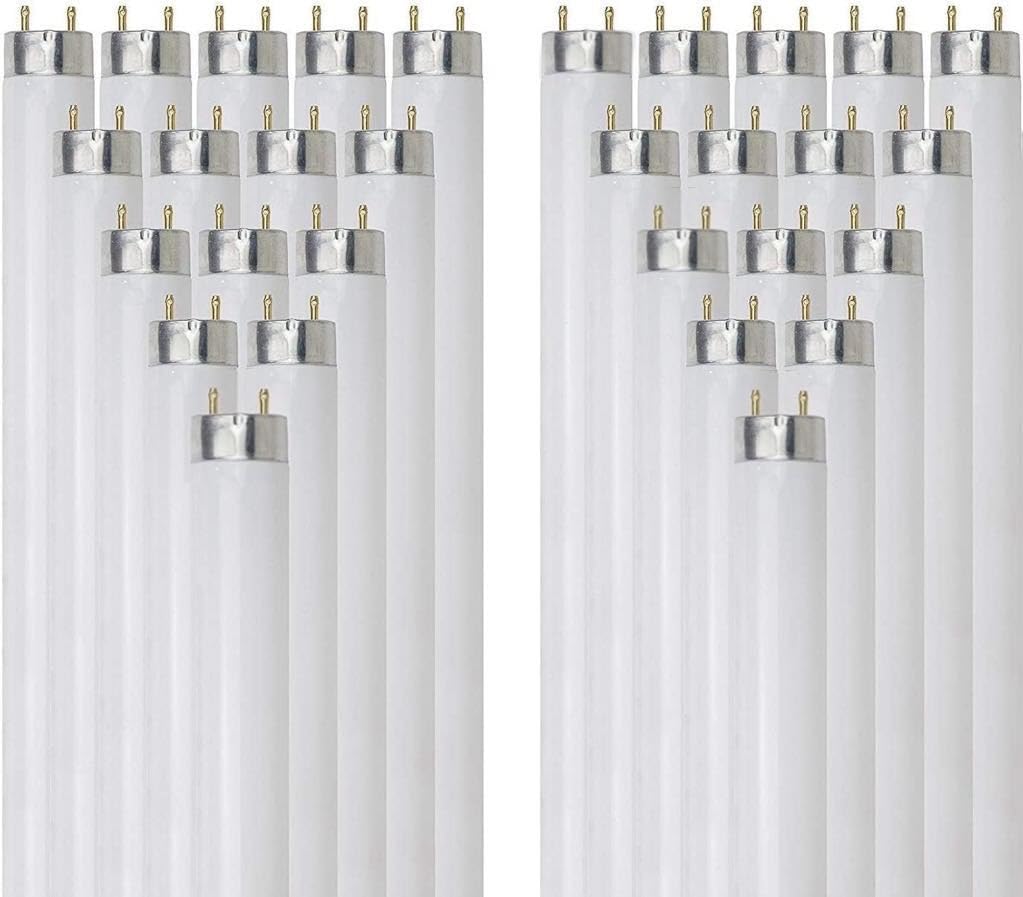 T8 Fluorescent Tube Light Bulb 25W 4100K Cool White G13 Pack of 30 R319501