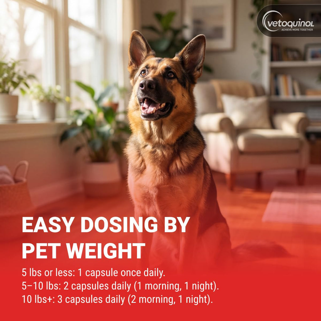 Kidney Support Supplement for Dogs and Cats, 90 Count P922