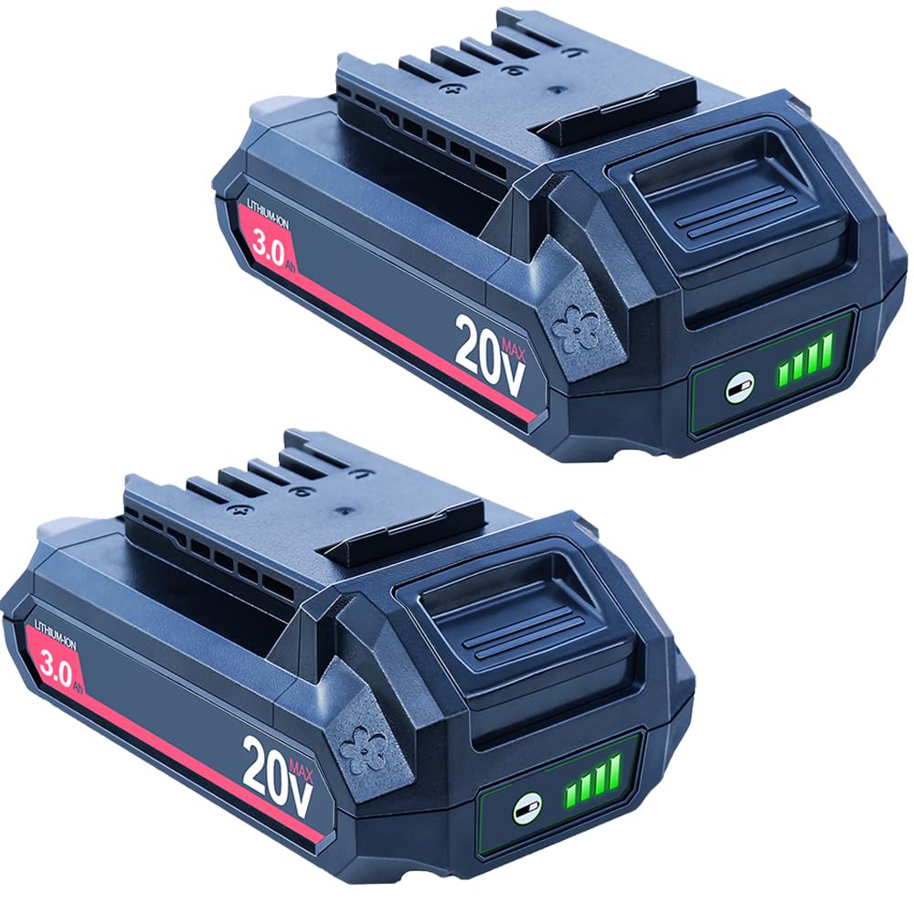 20V 3000mAh Lithium-Ion Battery 2 Packs Y631