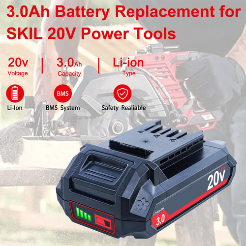 20V 3000mAh Lithium-Ion Battery 2 Packs Y631
