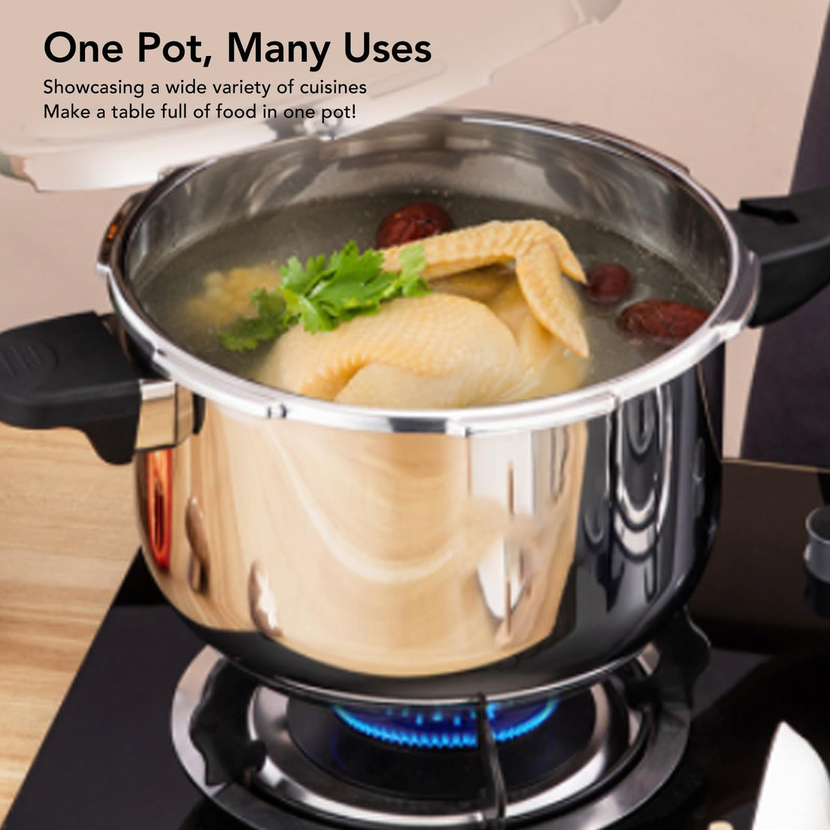 Stainless Steel 3L Pressure Cooker O422