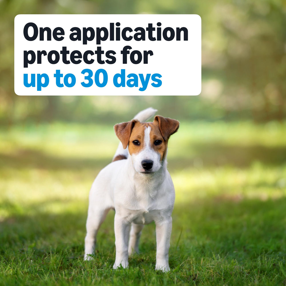Flea, Tick & Mosquito Topical Treatment for Medium Dogs, 6 Count M6235