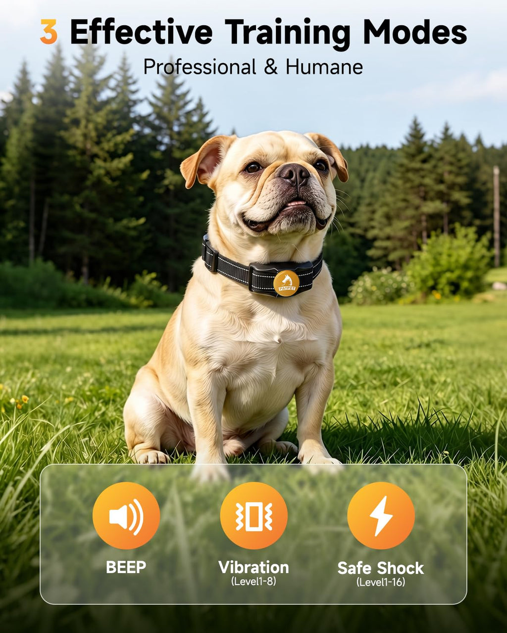 Rechargeable Dog Training Collar with Remote B600