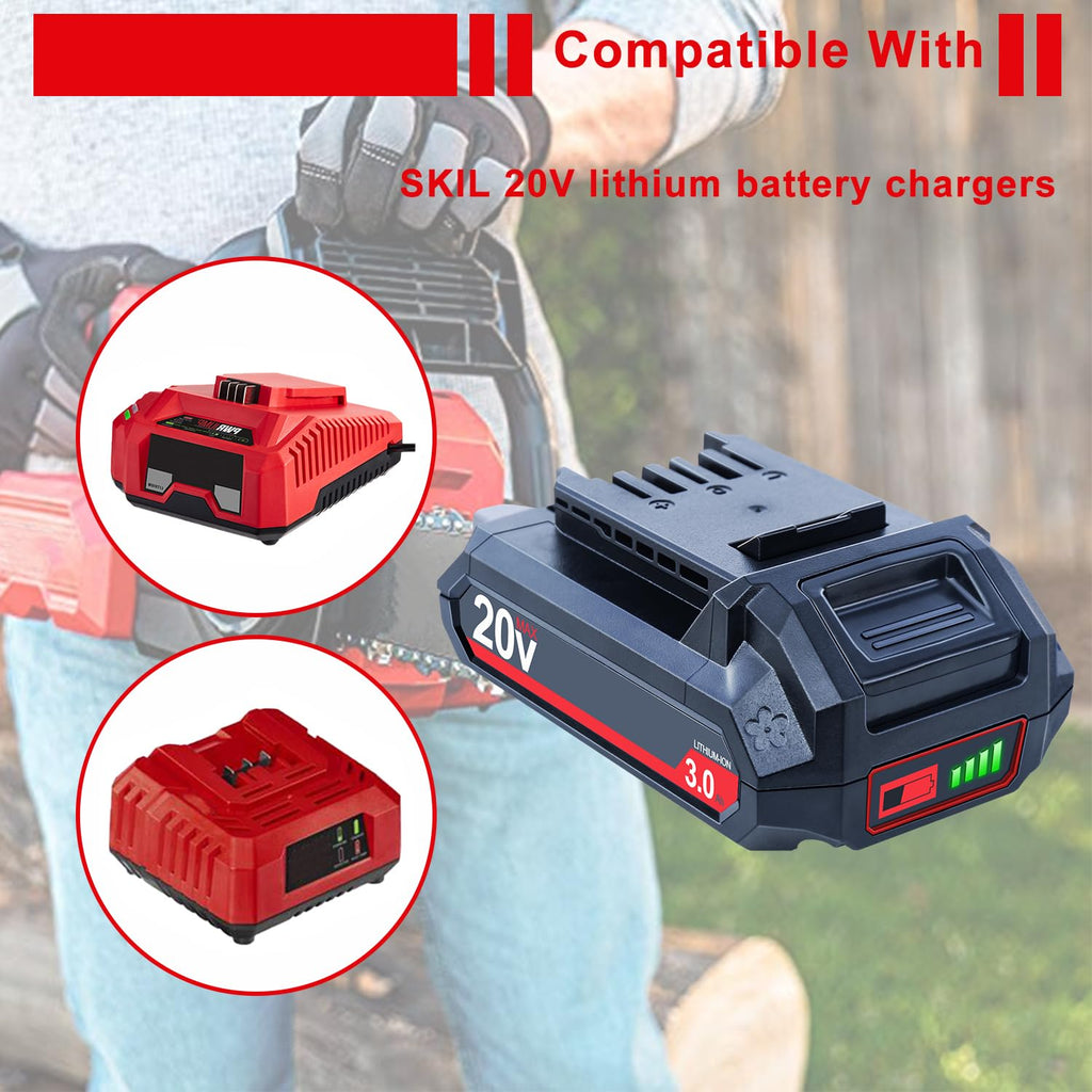 20V 3000mAh Lithium-Ion Battery 2 Packs Y631