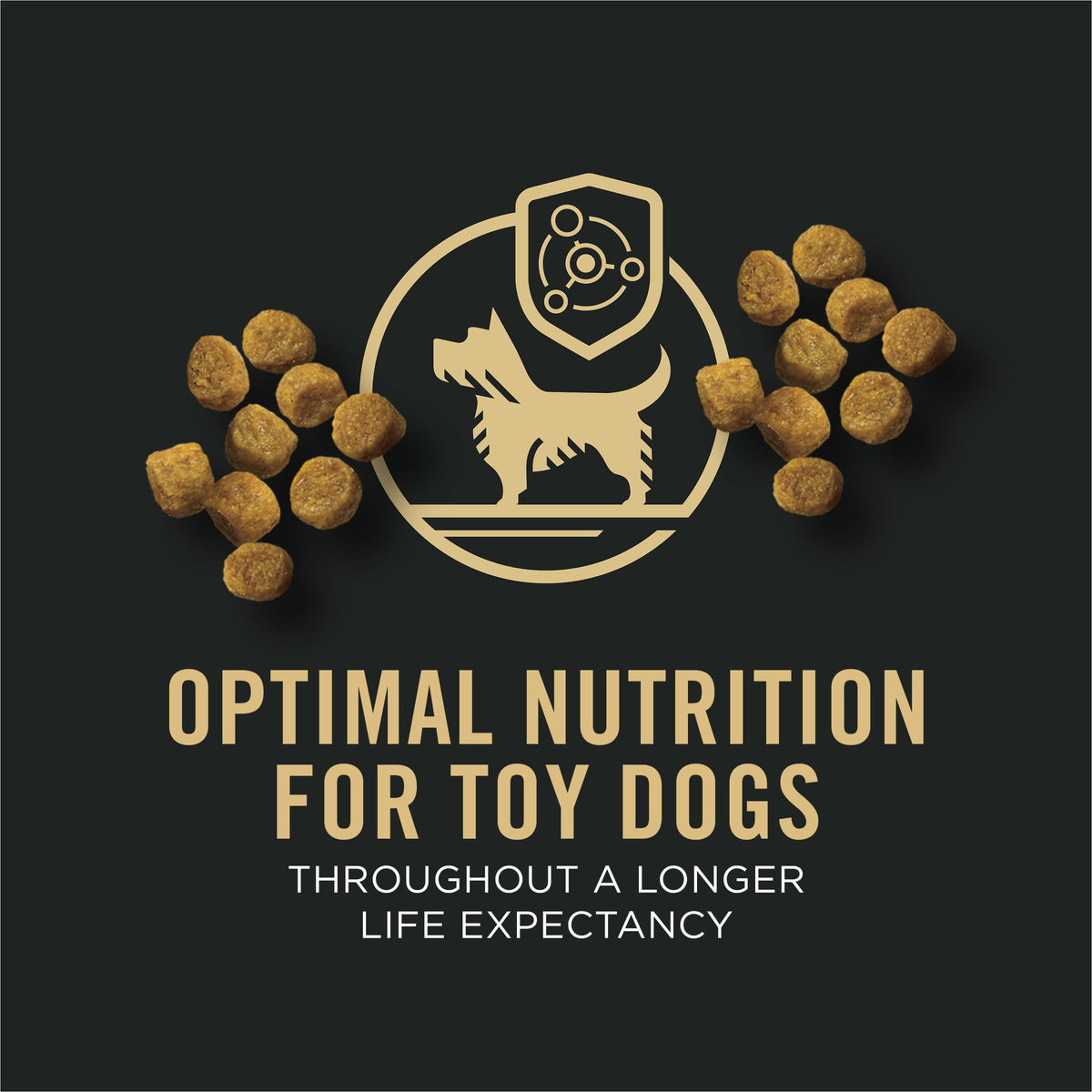 Chicken & Rice Dry Dog Food 5 lb Bag L118357