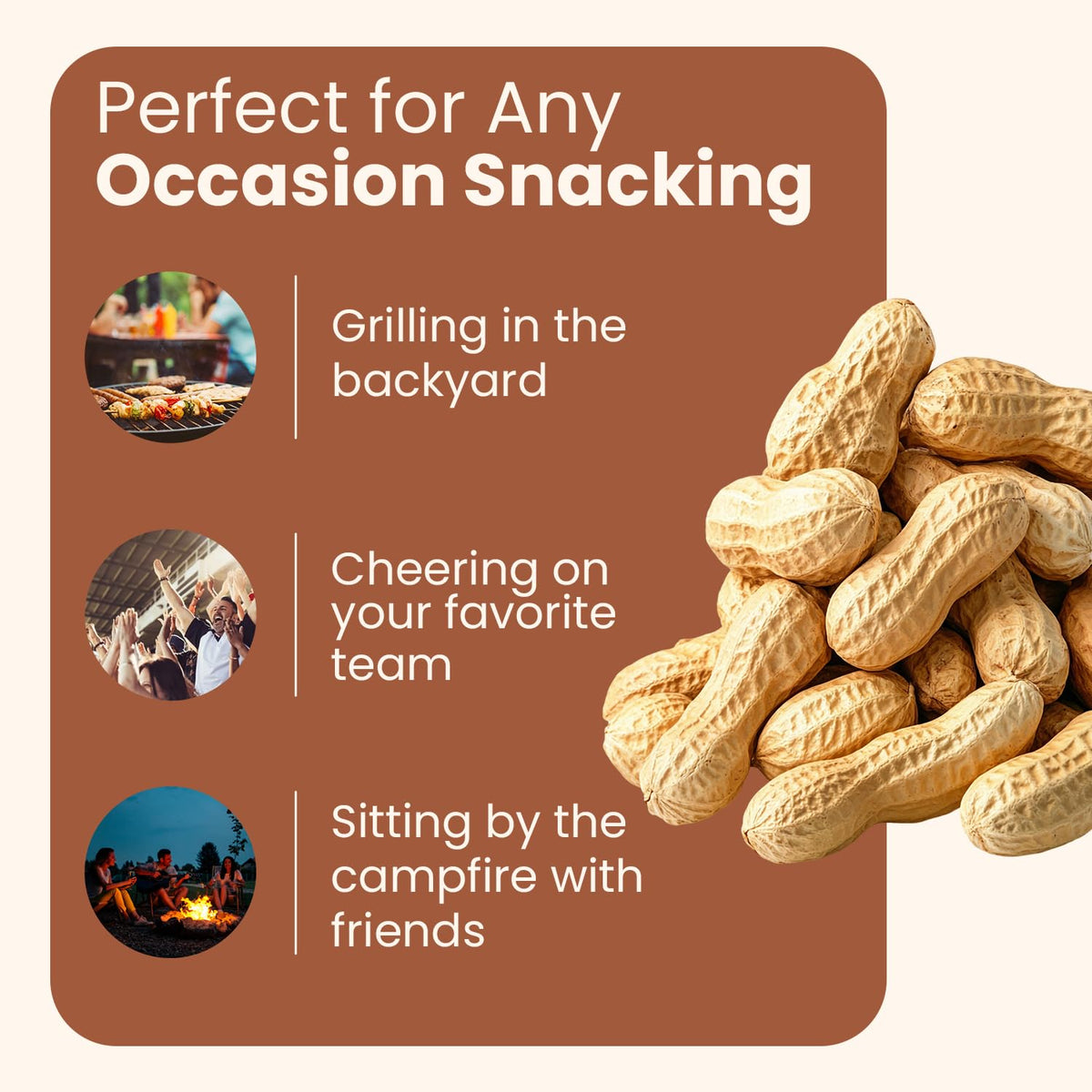 Unsalted Roasted In-Shell Peanuts 5 lb Bag R846367