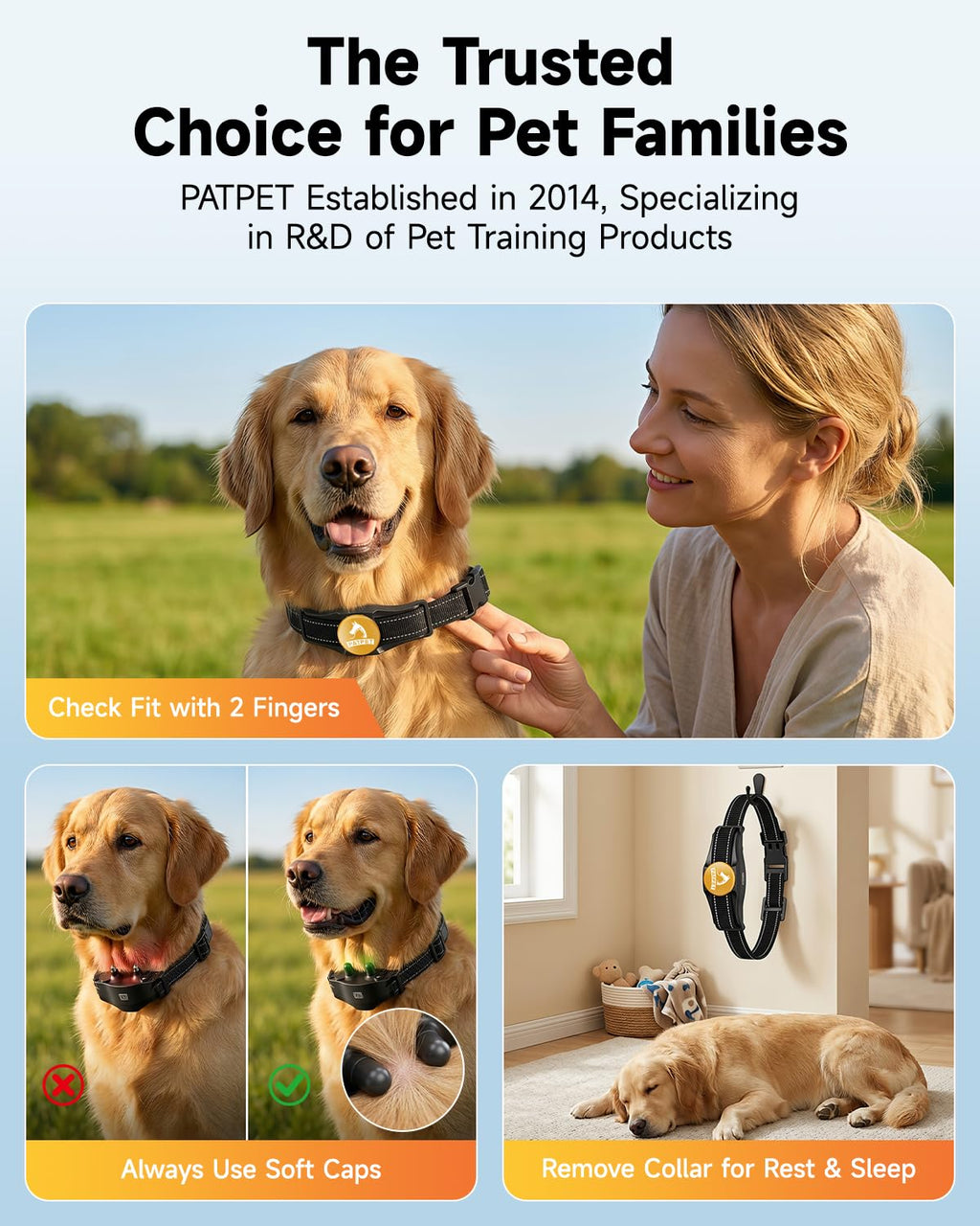Rechargeable Dog Training Collar with Remote B600