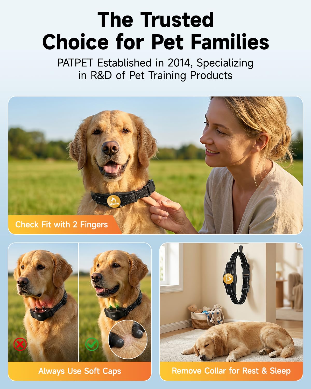 Rechargeable Dog Training Collar with Remote B600
