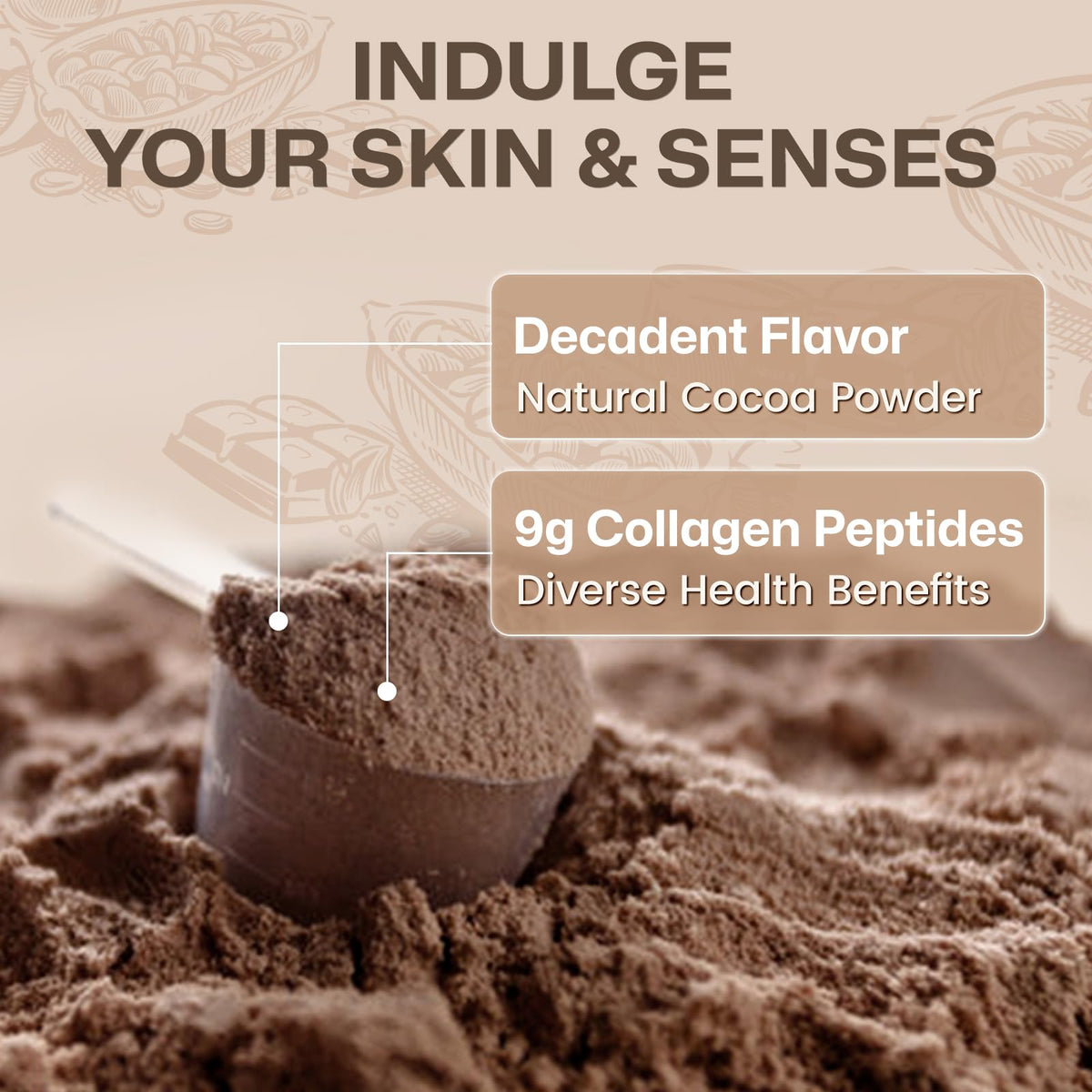 Multi Collagen Peptides Powder Chocolate Flavor 35 Servings G37653
