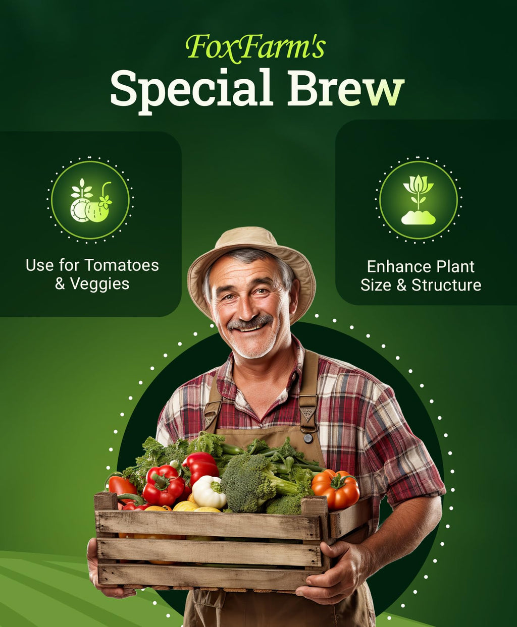 Liquid Plant Fertilizer 3-2-6 1 Pint Y242