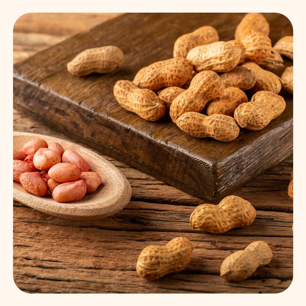 Unsalted Roasted In-Shell Peanuts 5 lb Bag R846367