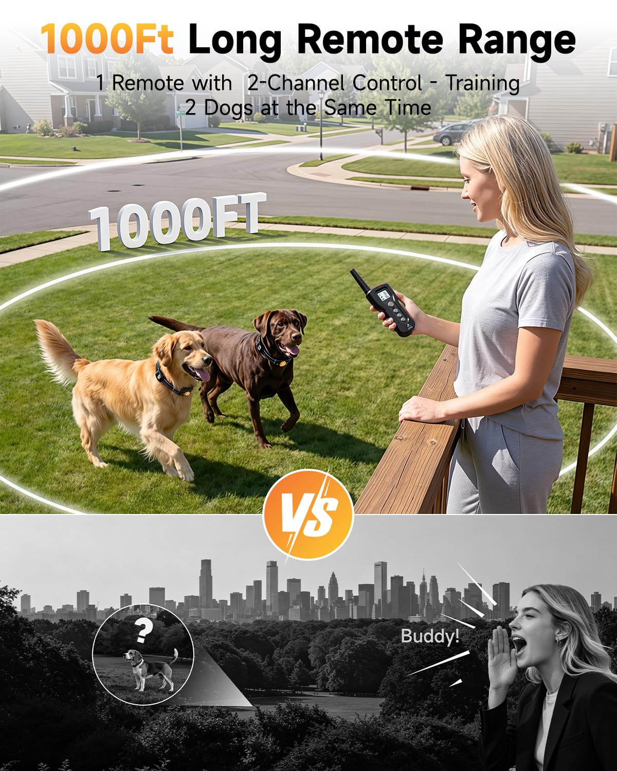 Rechargeable Dog Training Collar with Remote B600