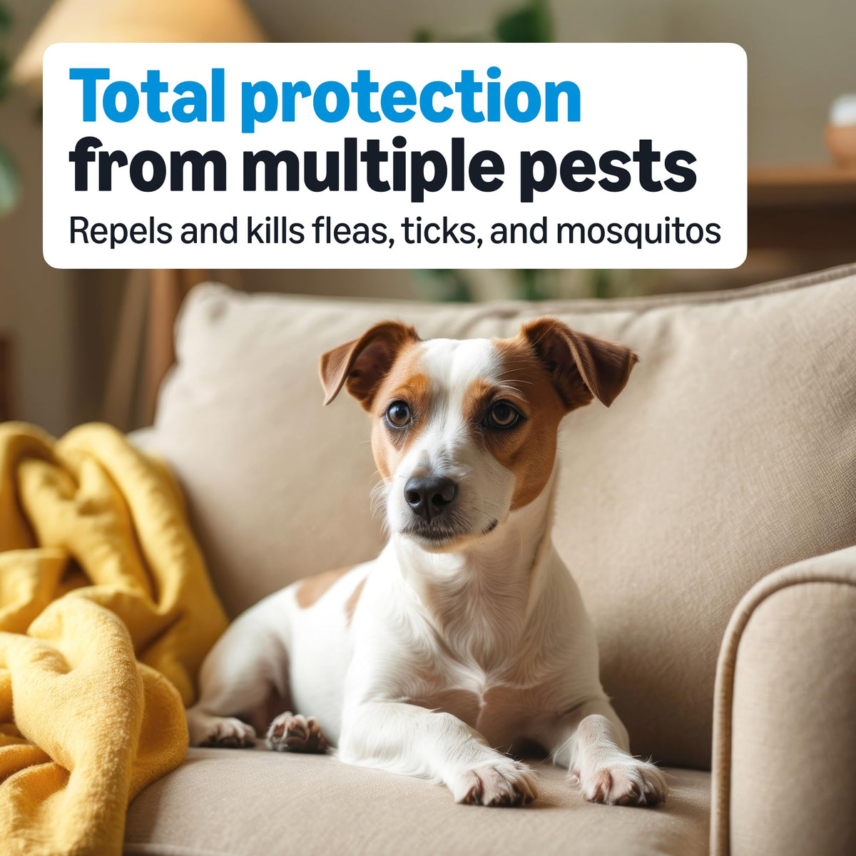 Flea, Tick & Mosquito Topical Treatment for Medium Dogs, 6 Count M6235
