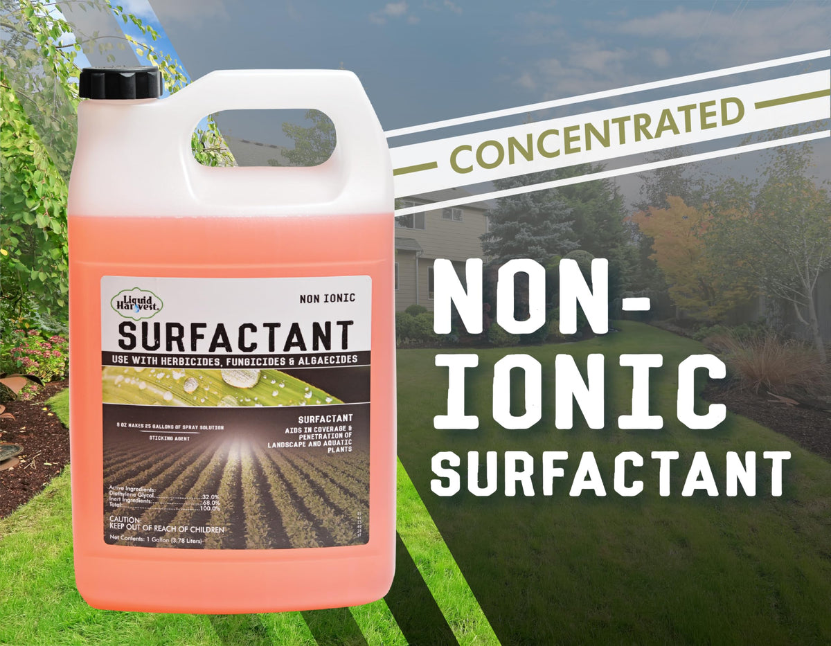 Concentrated Non-Ionic Surfactant Gallon D1589