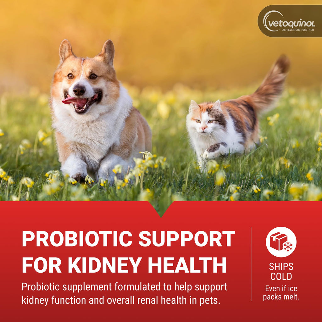 Kidney Support Supplement for Dogs and Cats, 90 Count P922