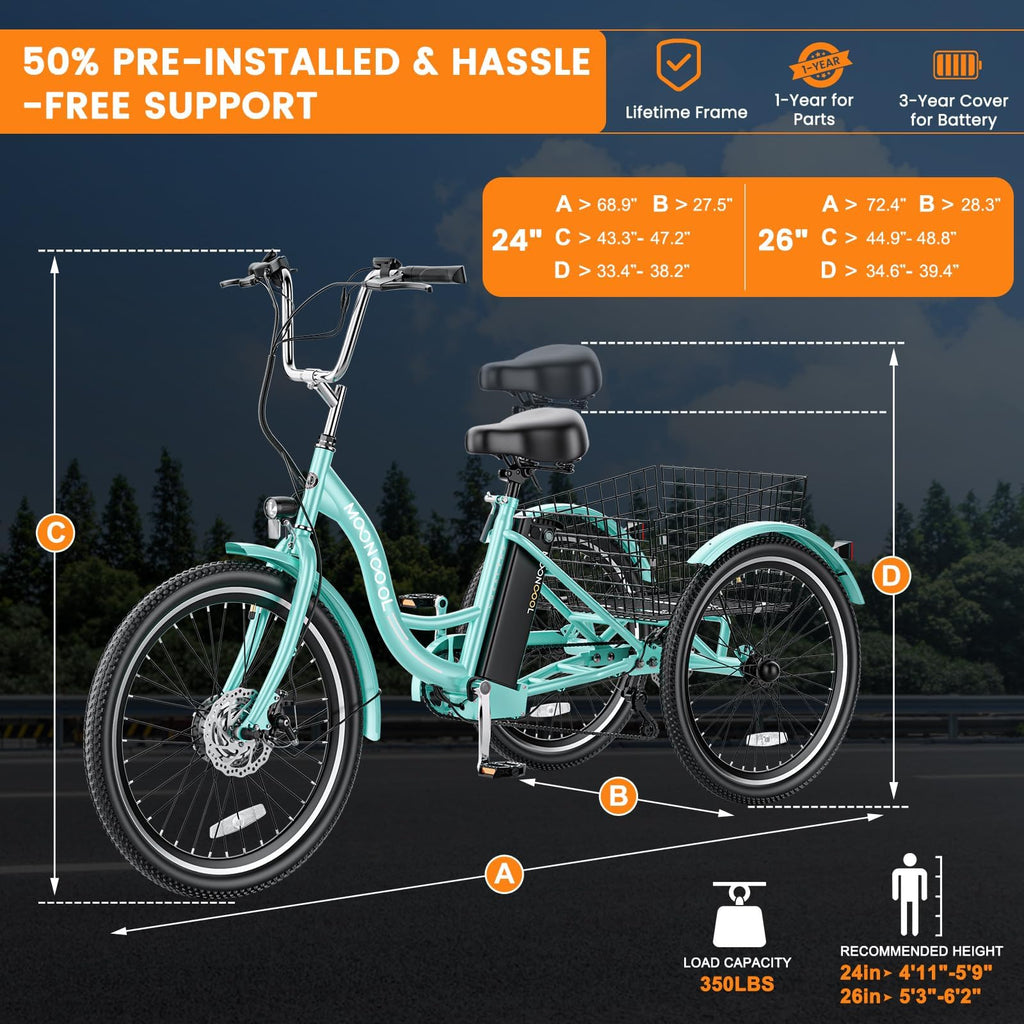 3 Wheel Electric Bike for Adults M211723