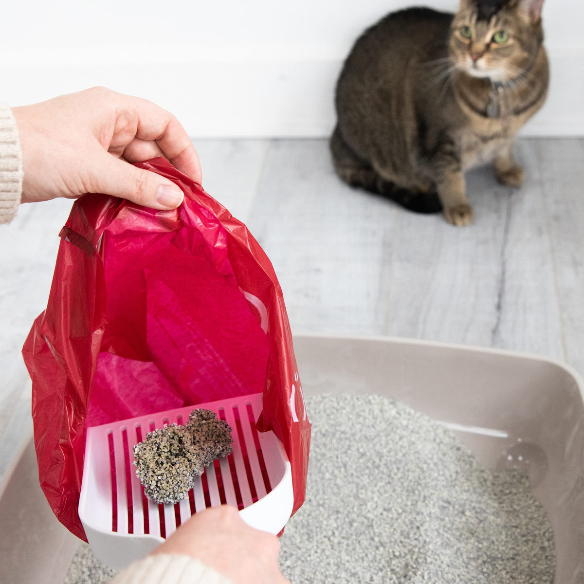 Lavender Scented Pet Waste Sacks 200 Count N93461