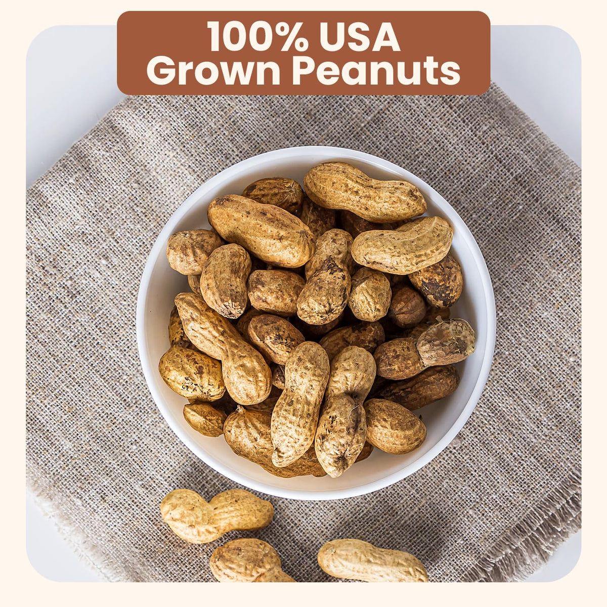 Unsalted Roasted In-Shell Peanuts 5 lb Bag R846367